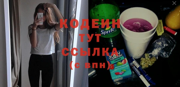 дурь Пересвет