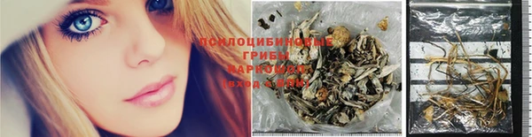 дурь Пересвет