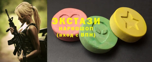 твердый Краснослободск