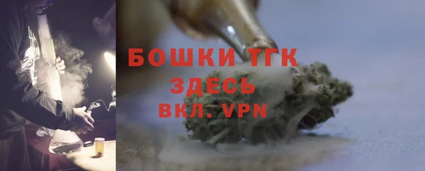 дурь Пересвет