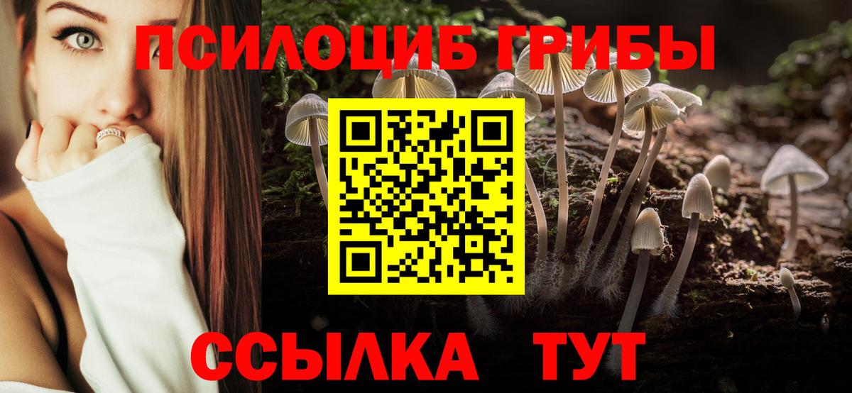 Коркино  Галлюциногенные грибы GOLDEN TEACHER  Вход с VPN 